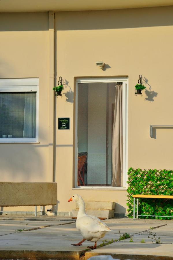 Appartement Mpoulakis 46
